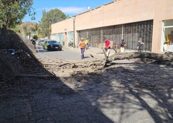 ANTE FUERTES VIENTOS GOBIERNO DE LA CAPITAL ATIENDE CAÍDA DE ÁRBOL EN CALLE DE ARISTA.