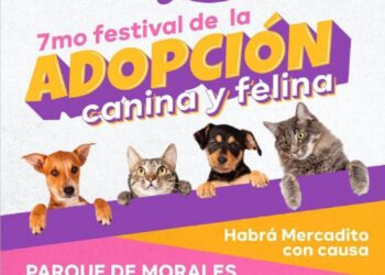 ESTE FIN DE SEMANA SE LLEVARÁ A CABO EL FESTIVAL DE ADOPCION CANINA Y FELINA EN MORALES.