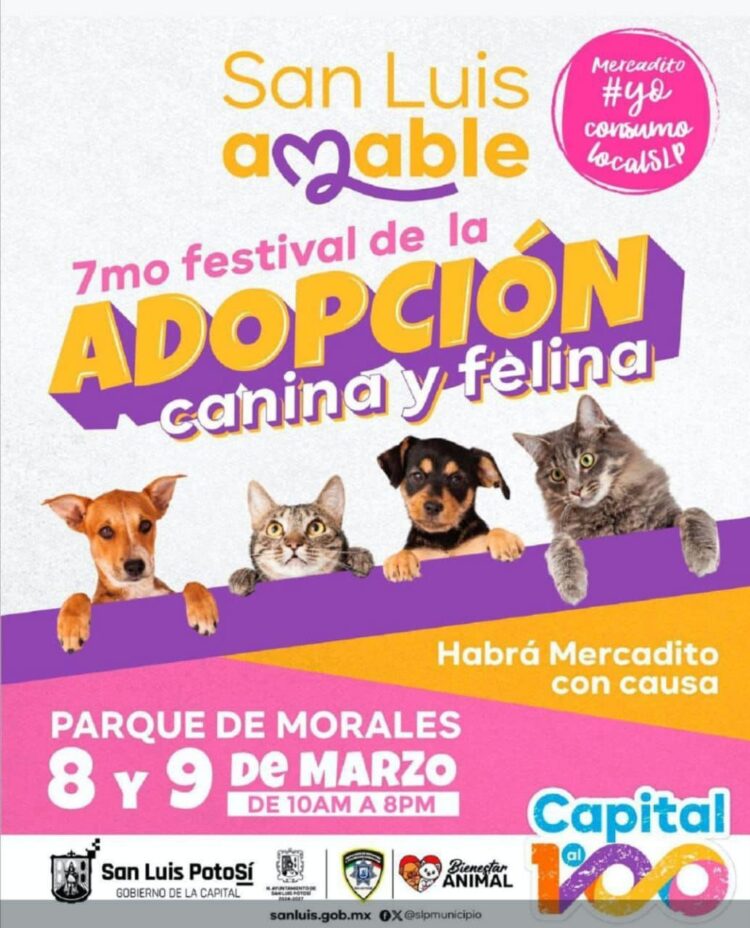 ESTE FIN DE SEMANA SE LLEVARÁ A CABO EL FESTIVAL DE ADOPCION CANINA Y FELINA EN MORALES.
