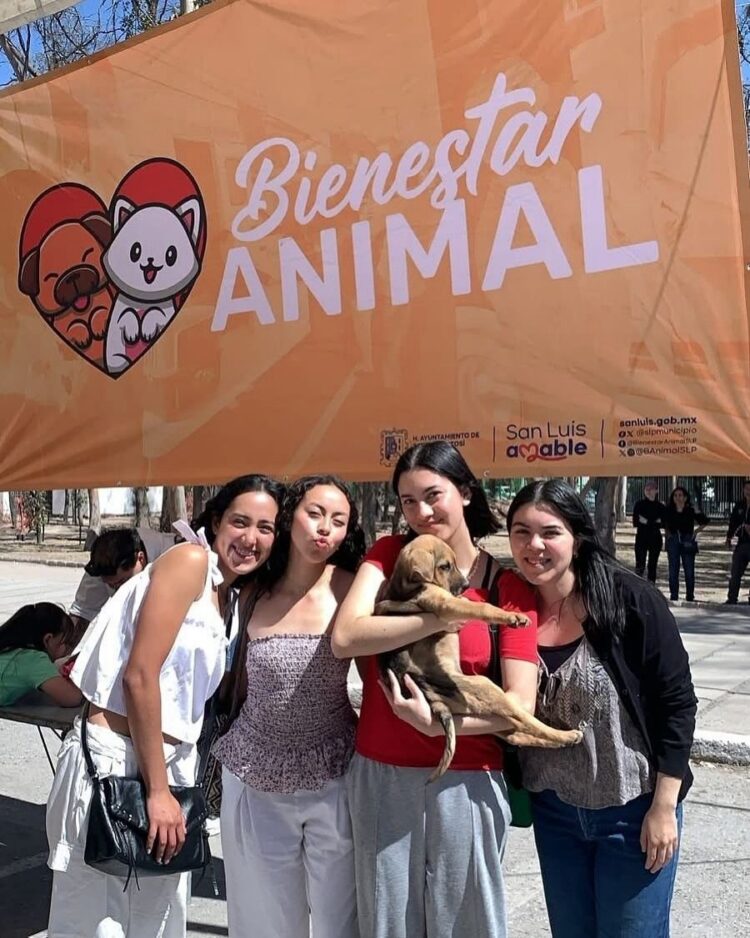 Éxito en el 7° Festival de la Adopción Canina y Felina.