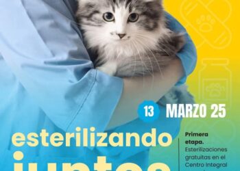 INICIA CAMPAÑA MUNICIPAL DE ESTERILIZACIÓN GRATUITA.