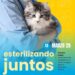 INICIA CAMPAÑA MUNICIPAL DE ESTERILIZACIÓN GRATUITA.