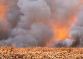 INCENDIOS AFECTAN LA CALIDAD DEL AIRE EN SAN LUIS POTOSI.