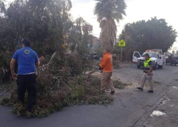 GOBIERNO DE LA CAPITAL REFUERZA ATENCIÓN A RIESGOS EN LA VÍA PÚBLICA.