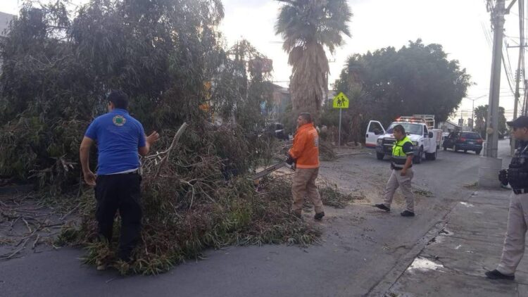 GOBIERNO DE LA CAPITAL REFUERZA ATENCIÓN A RIESGOS EN LA VÍA PÚBLICA.