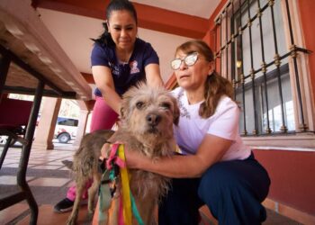 GRAN ÉXITO JORNADA DE VACUNACIÓN ANTIRRÁBICA EN LA PILA.