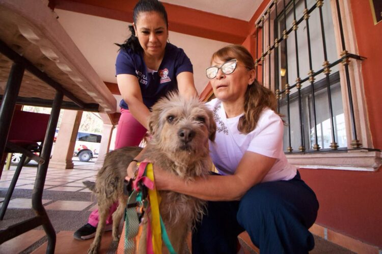 GRAN ÉXITO JORNADA DE VACUNACIÓN ANTIRRÁBICA EN LA PILA.