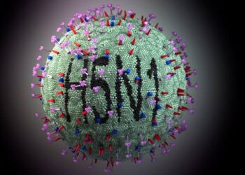 NIÑA DE TRES AÑOS PIERDE LA VIDA EN COAHUILA POR COMPLICACIONES DERIVADAS DE GRIPE AVIAR.