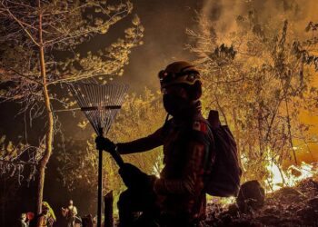 UNIDAD, VALENTÍA Y COMPROMISO: HEROICA RESPUESTA CONJUNTA ANTE INCENDIO EN XILITLA
