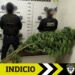SECRETARÍA DE SEGURIDAD Y PROTECCIÓN CIUDADANA DE LA CAPITAL, DECOMISA PLANTAS DE MARIHUANA SEMBRADAS EN CALLES DE LA COLONIA MORALES-SAUCITO.
