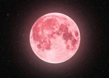 LA LUNA SALIÓ A MOSTRARSE MAJESTUOSA EN PRIMAVERA.