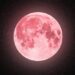 LA LUNA SALIÓ A MOSTRARSE MAJESTUOSA EN PRIMAVERA.