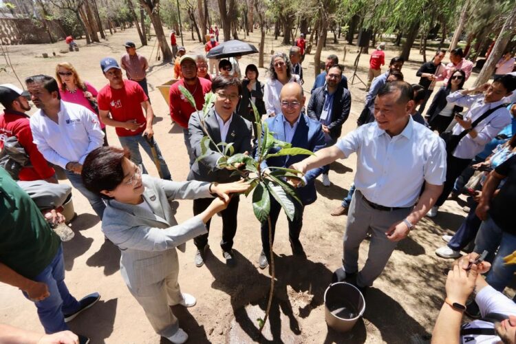 SAN LUIS CAPITAL Y LA REPÚBLICA DE COREA, UNIDOS POR EL JARDÍN DE LA DIPLOMACIA EN MORALES.