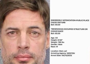 ARRESTAN EN FLORIDA AL ACTOR CUBANO WILLIAM LEVY.