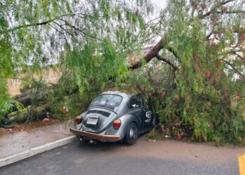 OPERATIVO «TLÁLOC» EN MARCHA.