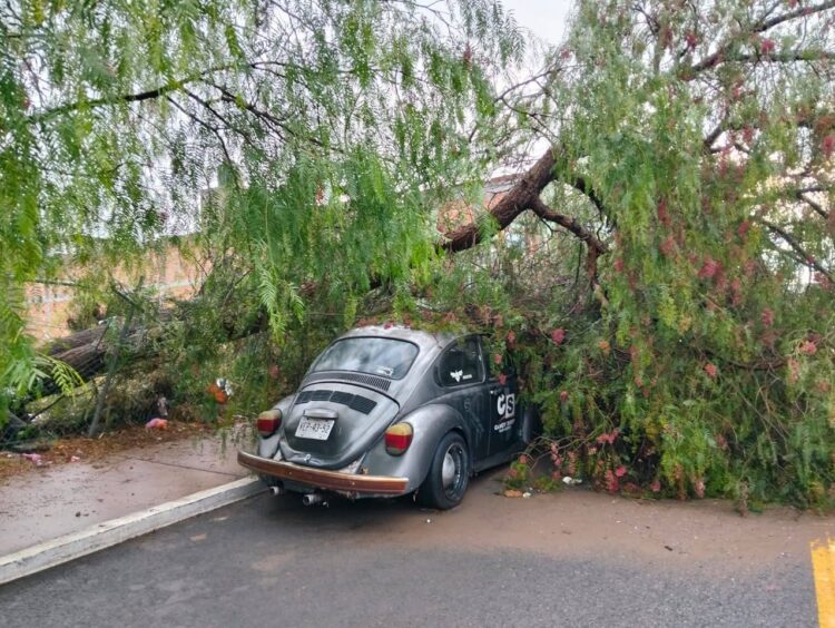 OPERATIVO «TLÁLOC» EN MARCHA.