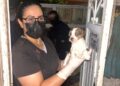 ¡RESCATAN A 27 PERROS VÍCTIMAS DE MALTRATO!