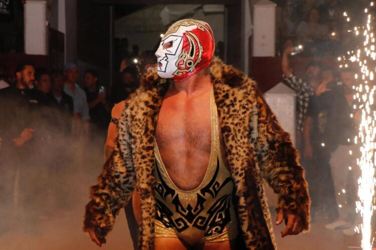 SAN LUIS VIBRA CON NOCHE DE LUCHA LIBRE GRATUITA.