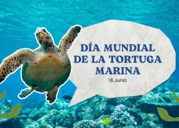 HOY, EL MAR CELEBRA A SUS HIJAS MÁS ANTIGUAS