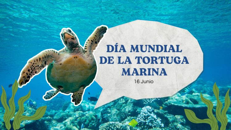 HOY, EL MAR CELEBRA A SUS HIJAS MÁS ANTIGUAS