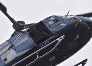 GUARDIA CIVIL DESMANTELA CAMPAMENTO DELICTIVO EN TAMASOPO.