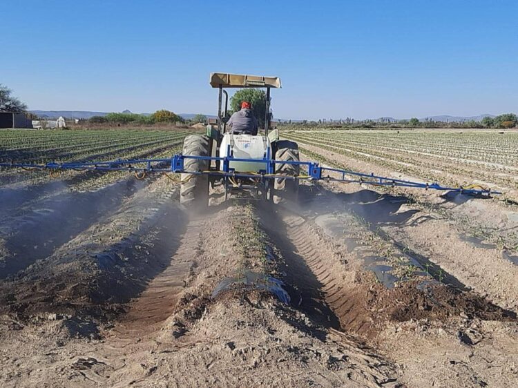 GOBIERNO MUNICIPAL IMPULSA EL CAMPO POTOSINO CON PROGRAMAS “MECANIZANDO EL CAMPO” Y “MUJERES AL TRACTOR”.