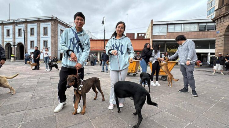 JUVENTUD POTOSINA SE SUMA A LA CAMPAÑA ADOPTA NO COMPRES.