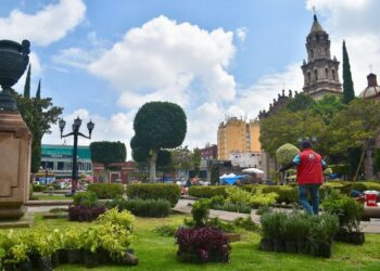IMPLEMENTAN REFORESTACIÓN ORNAMENTAL EN LA PLAZA DEL CARMEN DE LA CAPITAL POTOSINA.