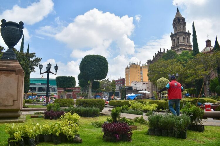 IMPLEMENTAN REFORESTACIÓN ORNAMENTAL EN LA PLAZA DEL CARMEN DE LA CAPITAL POTOSINA.