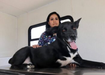 SAN LUIS CELEBRA EL DÍA MUNDIAL DEL PERRO CON CAMPAÑA “ADOPTA NO COMPRES”.