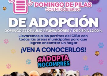 DOMINGO DE PILAS DE ADOPCIÓN EN PLAZA FUNDADORES.