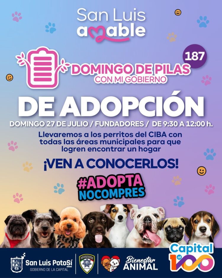 DOMINGO DE PILAS DE ADOPCIÓN EN PLAZA FUNDADORES.