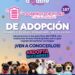 DOMINGO DE PILAS DE ADOPCIÓN EN PLAZA FUNDADORES.