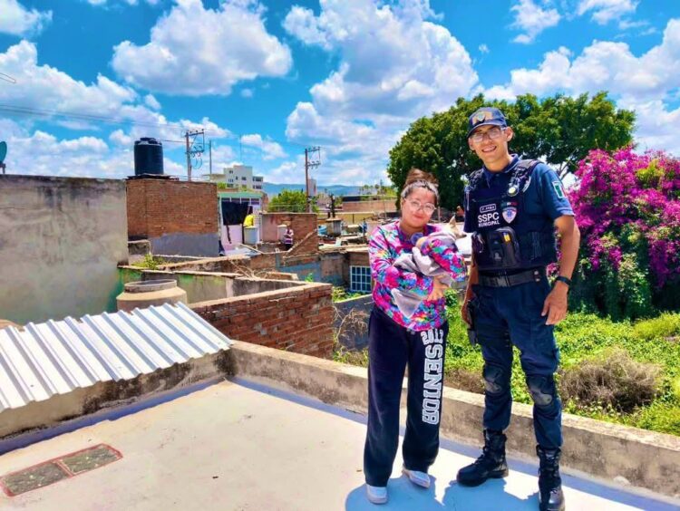 ¡RESCATAN A GATITA ATRAPADA EN MALEZA DEL BARRIO SAN SEBASTIÁN!