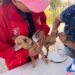 AVANZA PROGRAMA DE ESTERILIZACIÓN Y VACUNACIÓN ANTIRRÁBICA EN SAN LUIS POTOSÍ