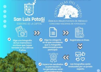 EXTIENDEN CONVOCATORIA PARA EL CONCURSO NACIONAL DE FOTOGRAFÍA DE ÁRBOLES.