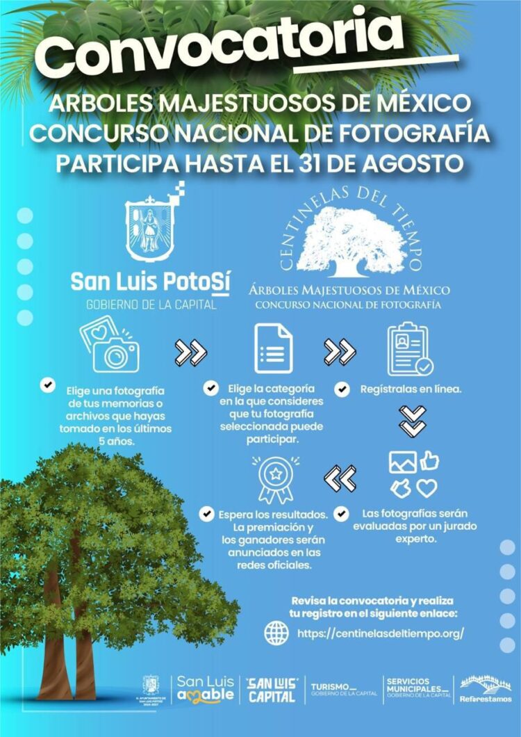 EXTIENDEN CONVOCATORIA PARA EL CONCURSO NACIONAL DE FOTOGRAFÍA DE ÁRBOLES.