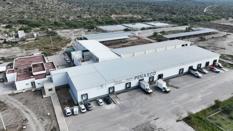 RASTRO MUNICIPAL ASEGURA CALIDAD E HIGIENE CON NUEVO EQUIPO.