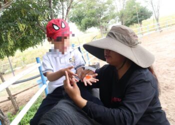 TERAPIAS CON CABALLOS IMPULSAN EL DESARROLLO DE NIÑAS, NIÑOS Y JÓVENES.