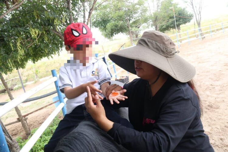 TERAPIAS CON CABALLOS IMPULSAN EL DESARROLLO DE NIÑAS, NIÑOS Y JÓVENES.