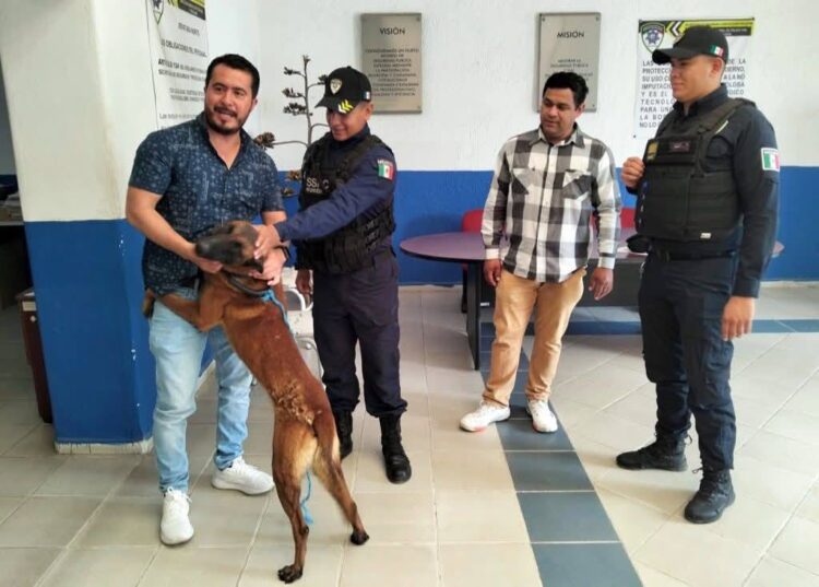 POLICÍAS MUNICIPALES RESCATAN A “CANELO” Y LO REUNEN CON SU FAMILIA.