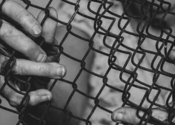 IMPULSAN INCUBADORA GASTRONÓMICA “TODO SAN LUIS” PARA FORTALECER EL SECTOR RESTAURANTERO.