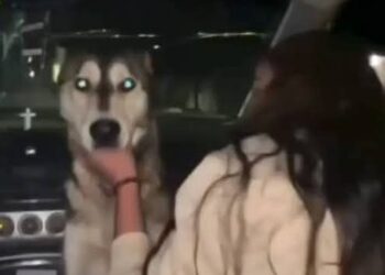 IMPULSAN INCUBADORA GASTRONÓMICA “TODO SAN LUIS” PARA FORTALECER EL SECTOR RESTAURANTERO.