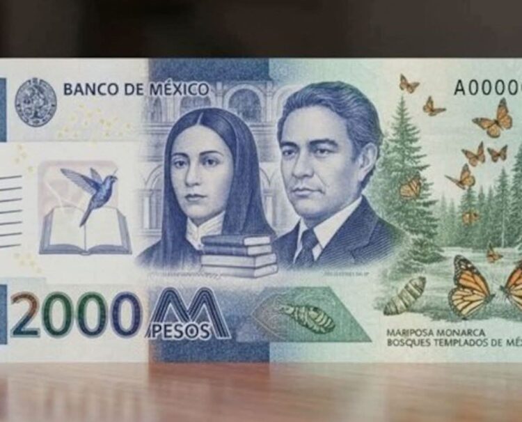 IMPULSAN INCUBADORA GASTRONÓMICA “TODO SAN LUIS” PARA FORTALECER EL SECTOR RESTAURANTERO.