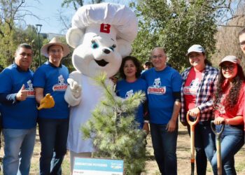 REFORESTAN EL PARQUE MORALES CON MÁS DE 40 ESPECIES NATIVAS.