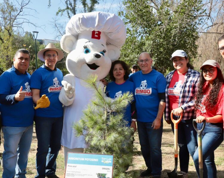 REFORESTAN EL PARQUE MORALES CON MÁS DE 40 ESPECIES NATIVAS.
