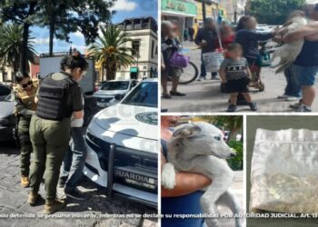 GUARDIA CIVIL ESTATAL DETIENE A HOMBRE POR MALTRATO ANIMAL EN EL CENTRO HISTÓRICO.