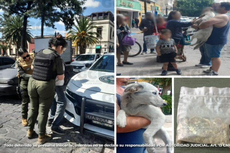 GUARDIA CIVIL ESTATAL DETIENE A HOMBRE POR MALTRATO ANIMAL EN EL CENTRO HISTÓRICO.