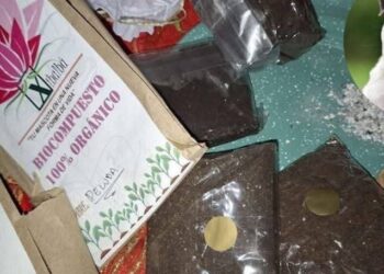 EN SESIÓN SOLEMNE, CABILDO CELEBRA 433 AÑOS DE FUNDACIÓN DE SAN LUIS CAPITAL.