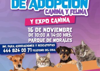 ENTREGAN 150 DICTÁMENES DE PROTECCIÓN CIVIL PARA FORTALECER LA SEGURIDAD Y TRANSPARENCIA EN LA CAPITAL.